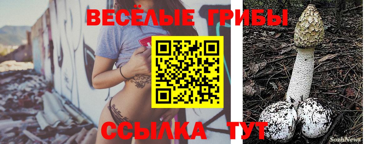 Каспийск  Псилоцибиновые грибы мухоморы  Вход с VPN 